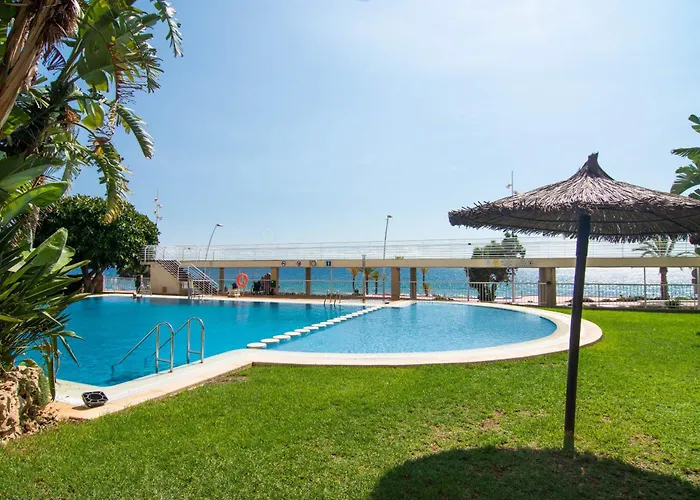 Apartamento Olivar Playa If Benidorm